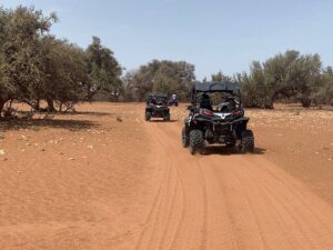 Aventure en buggy à travers les paysages d'arganeraies à Agadir, explorant les terrains accidentés et les vues panoramiques de la région