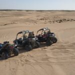 buggy-quad